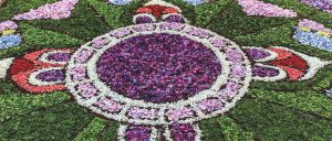 Flower Carpets - A Guarda - Spain