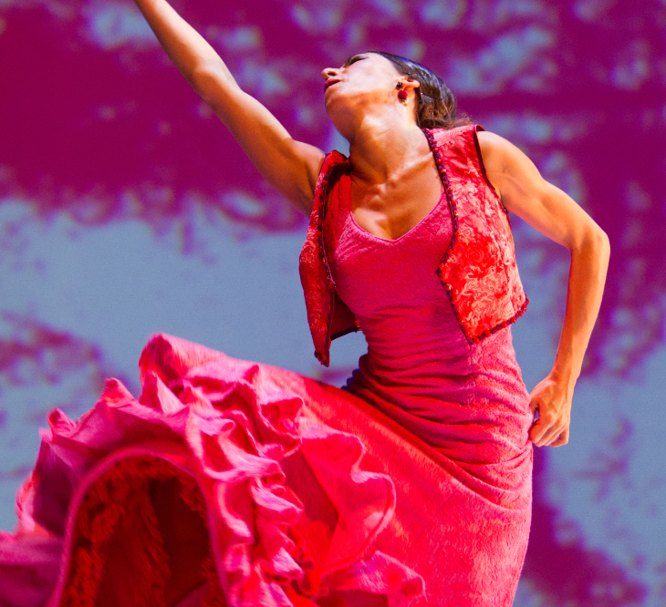 Flamenco Ballet – Consejería de Cultura y Patrimonio Histórico de la Junta de Andalucí